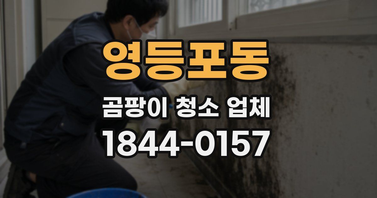 영등포동 곰팡이 청소 업체