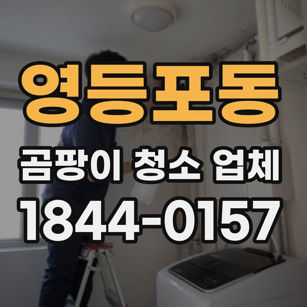 영등포동 곰팡이 청소 업체