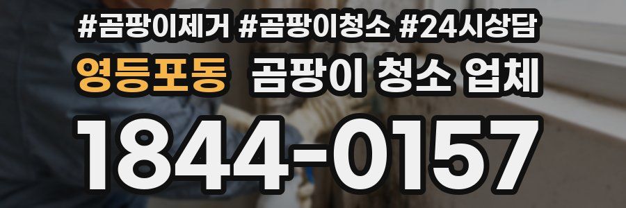 영등포동 곰팡이 청소 업체