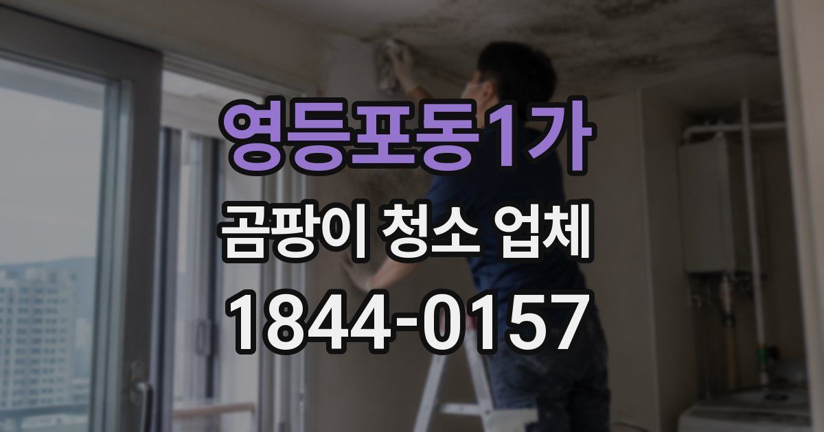 영등포동1가 곰팡이 청소 업체