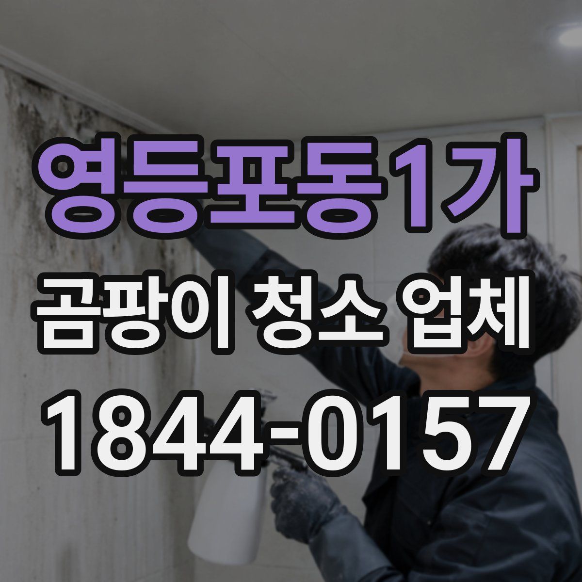 영등포동1가 곰팡이 청소 업체