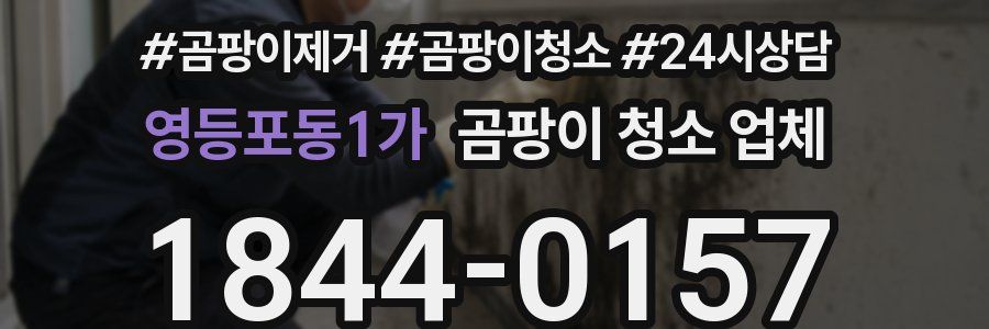 영등포동1가 곰팡이 청소 업체
