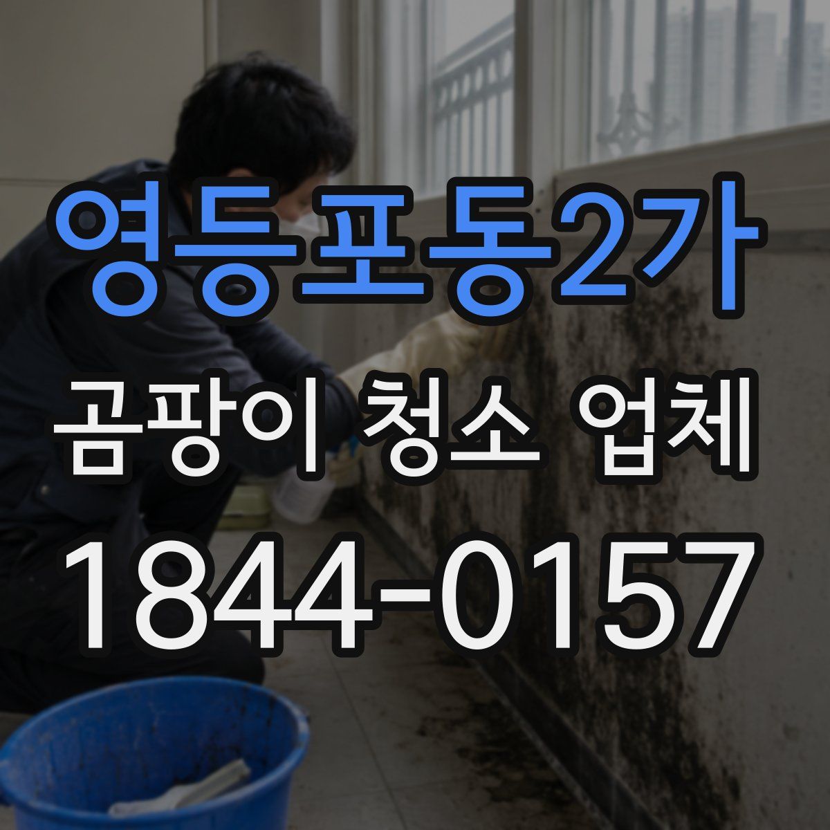 영등포동2가 곰팡이 청소 업체
