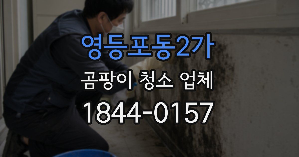 영등포동2가 곰팡이 청소 업체