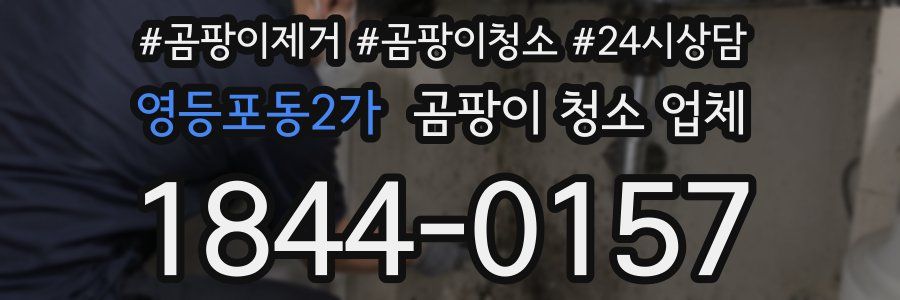 영등포동2가 곰팡이 청소 업체