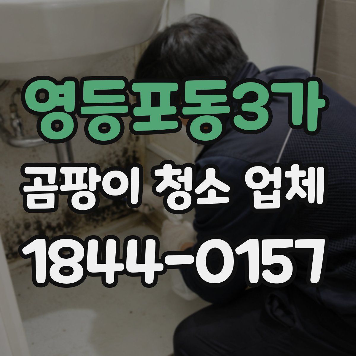영등포동3가 곰팡이 청소 업체