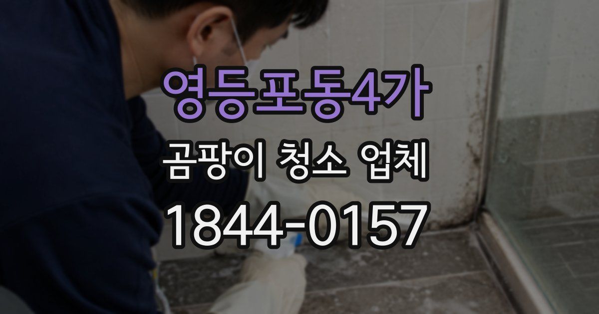 영등포동4가 곰팡이 청소 업체