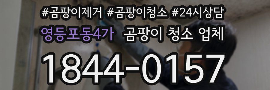 영등포동4가 곰팡이 청소 업체