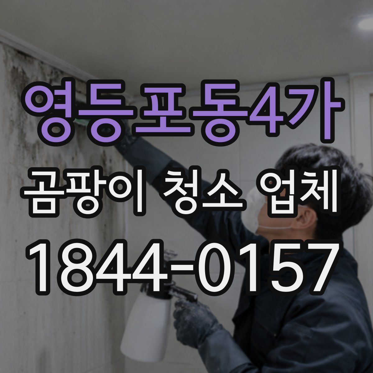 영등포동4가 곰팡이 청소 업체
