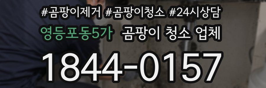 영등포동5가 곰팡이 청소 업체