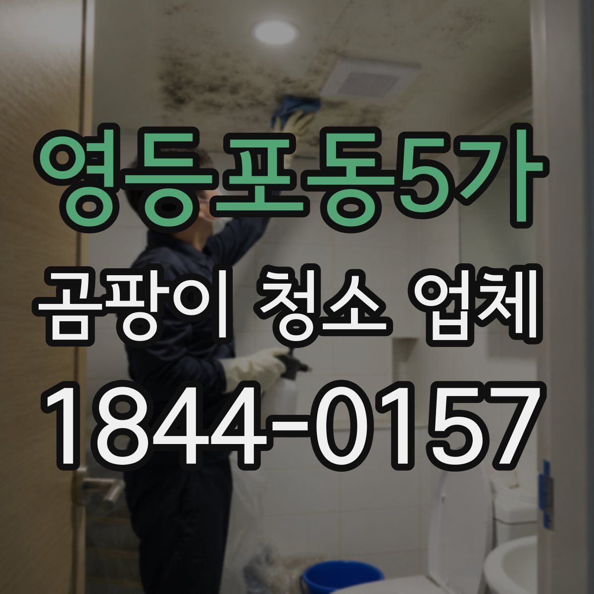 영등포동5가 곰팡이 청소 업체