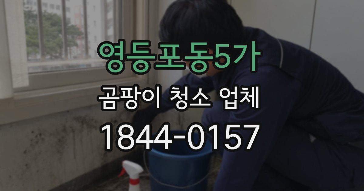 영등포동5가 곰팡이 청소 업체