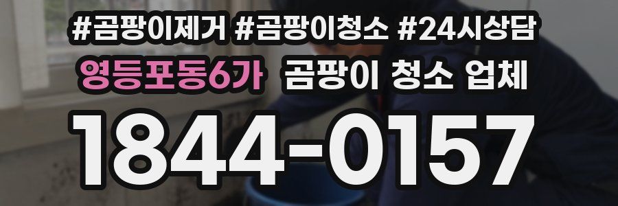 영등포동6가 곰팡이 청소 업체