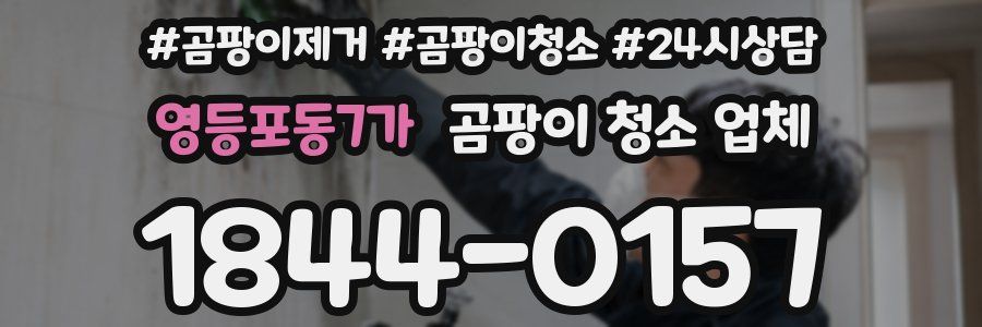 영등포동7가 곰팡이 청소 업체