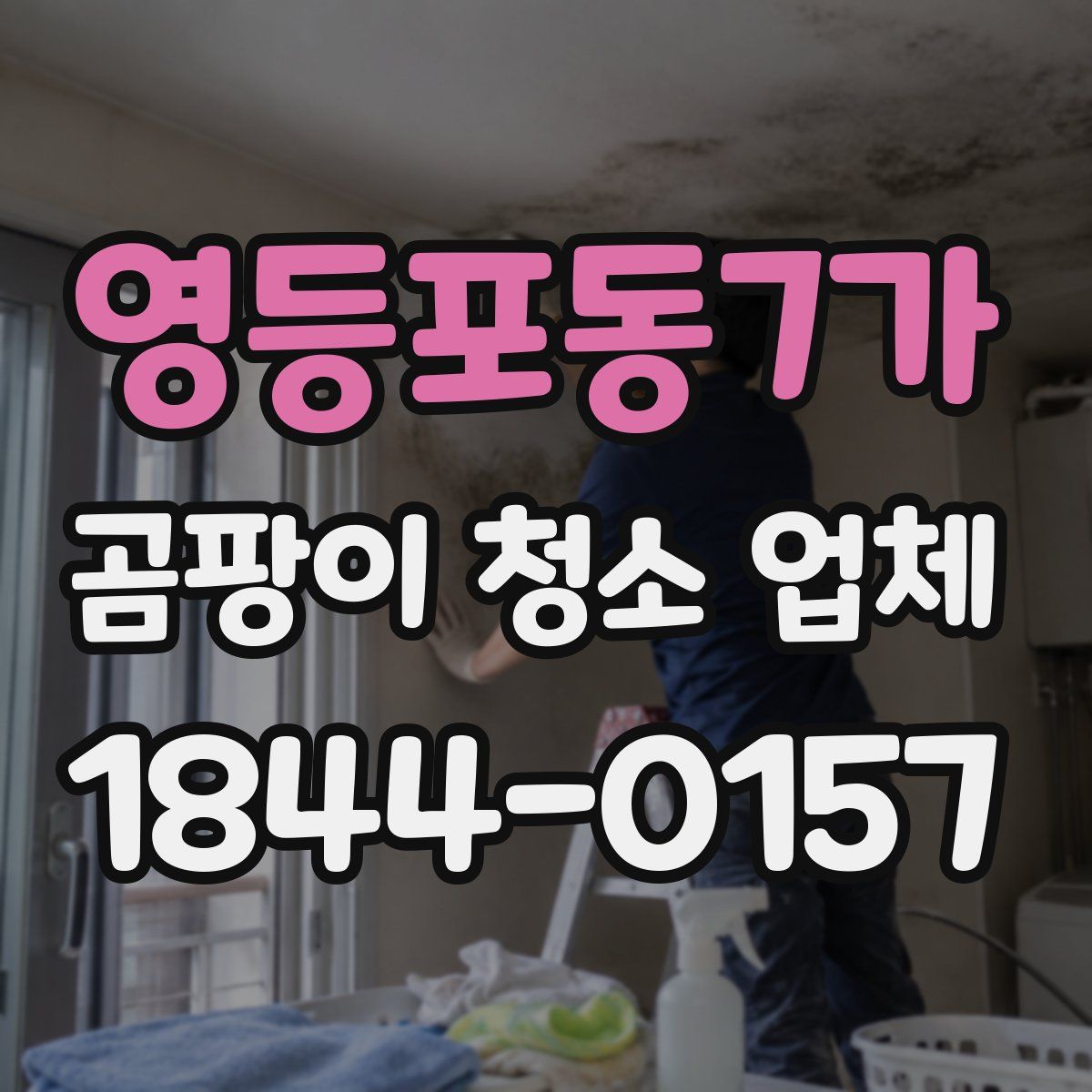영등포동7가 곰팡이 청소 업체