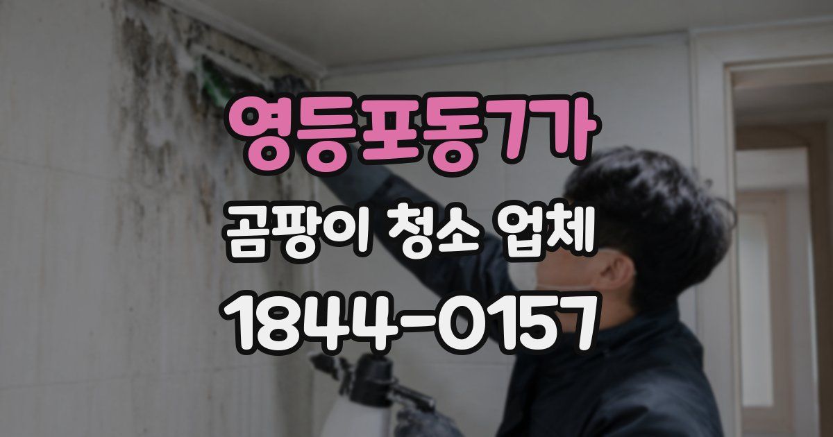 영등포동7가 곰팡이 청소 업체