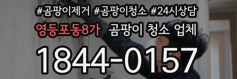 영등포동8가 곰팡이 청소 업체