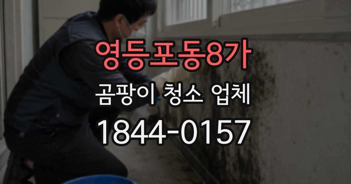 영등포동8가 곰팡이 청소 업체