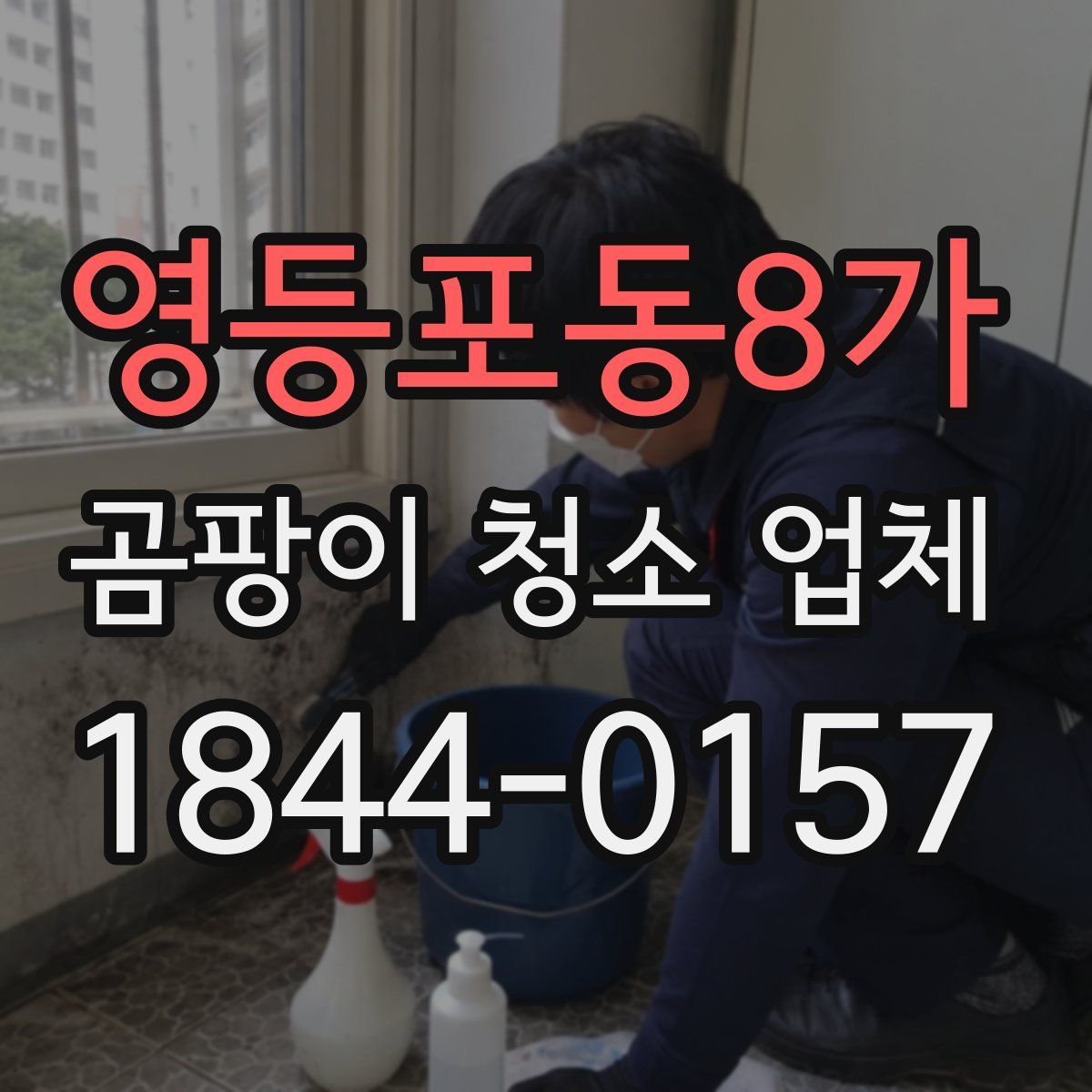 영등포동8가 곰팡이 청소 업체