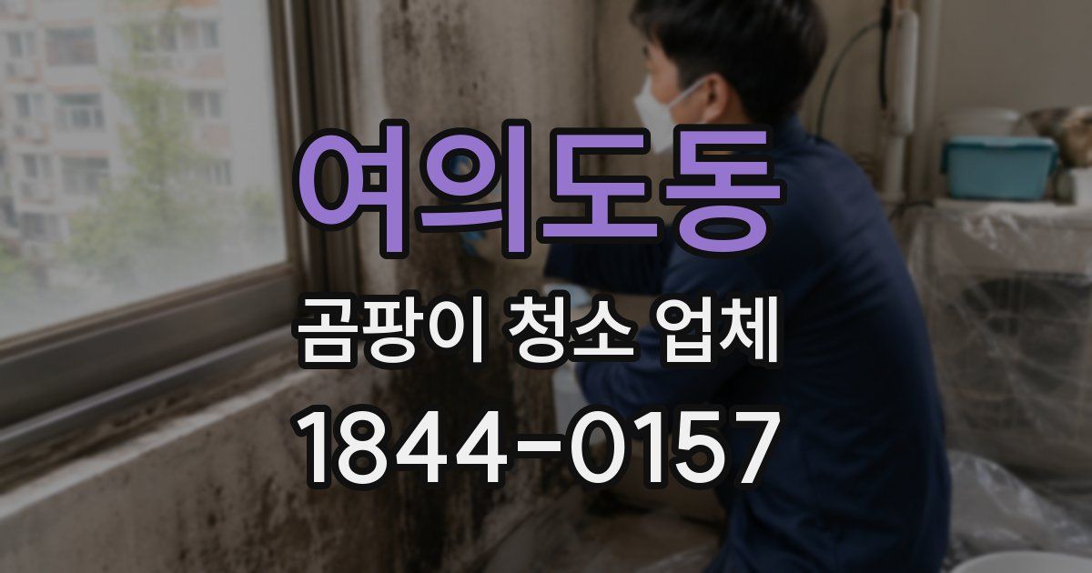 여의도동 곰팡이 청소 업체