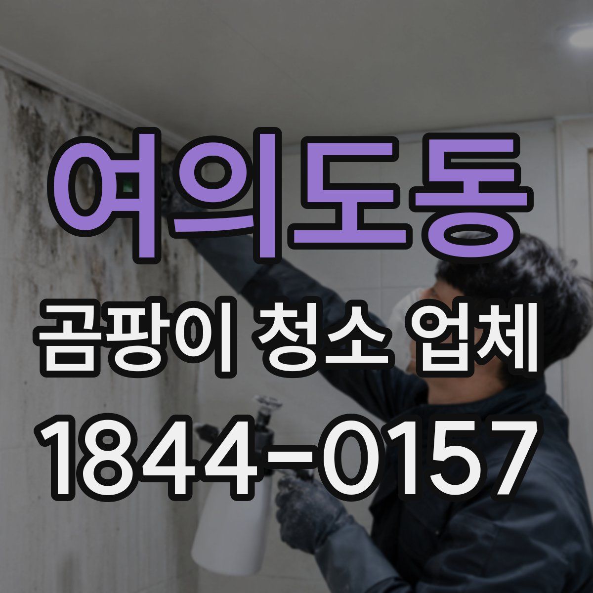 여의도동 곰팡이 청소 업체