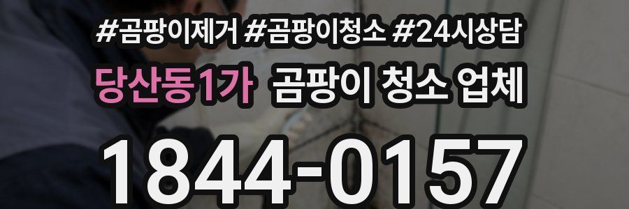 당산동1가 곰팡이 청소 업체