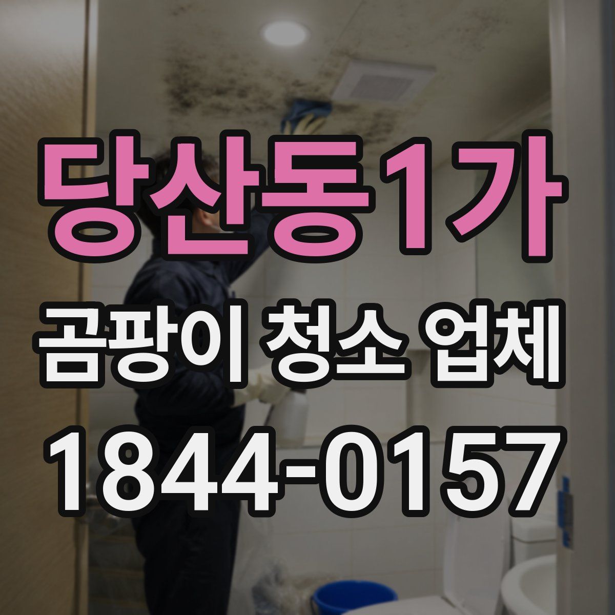 당산동1가 곰팡이 청소 업체