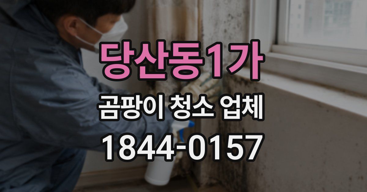 당산동1가 곰팡이 청소 업체