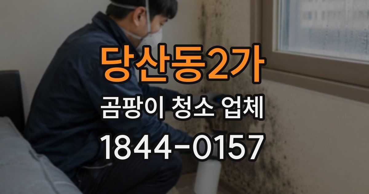 당산동2가 곰팡이 청소 업체