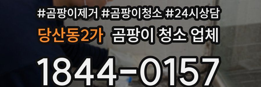 당산동2가 곰팡이 청소 업체