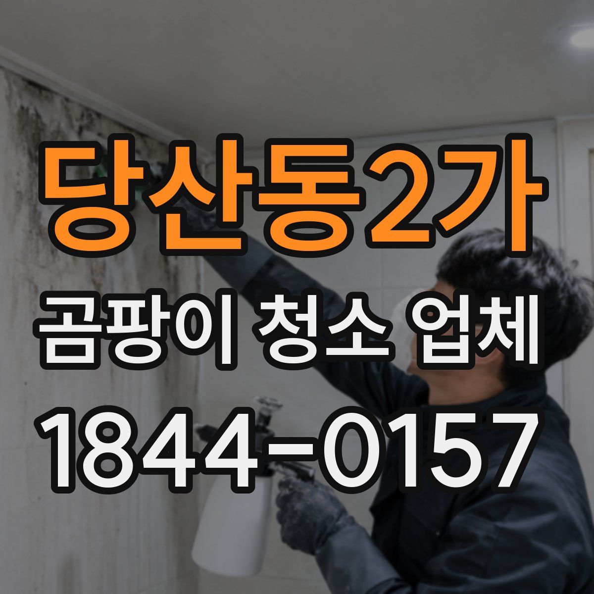당산동2가 곰팡이 청소 업체