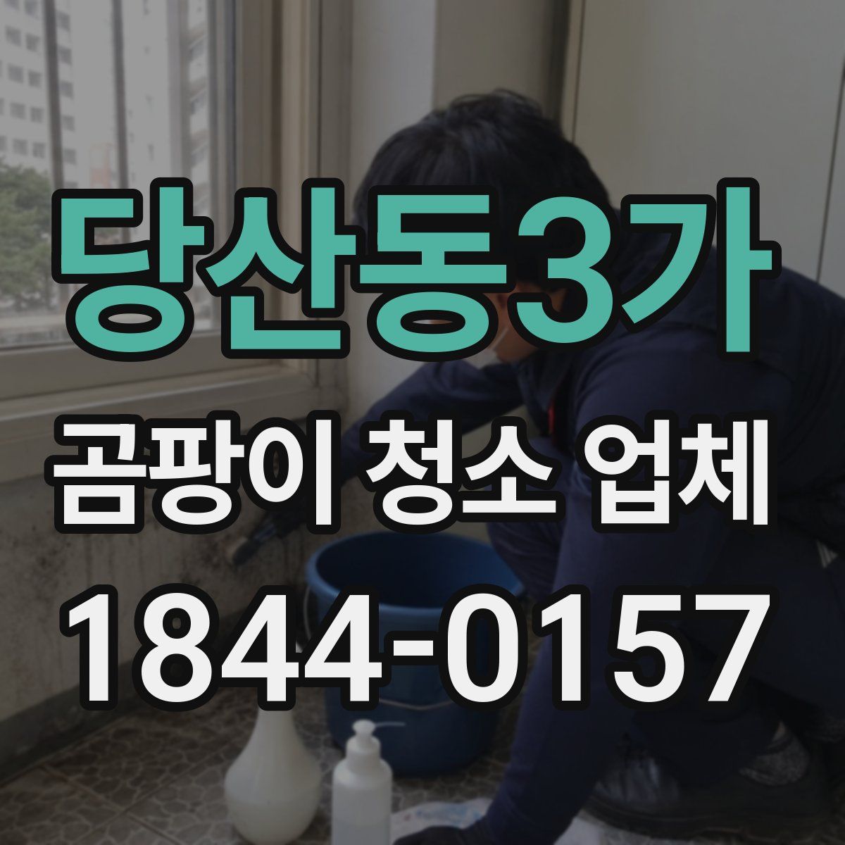 당산동3가 곰팡이 청소 업체
