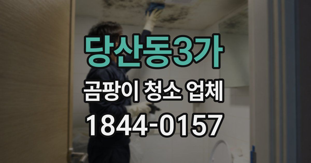 당산동3가 곰팡이 청소 업체