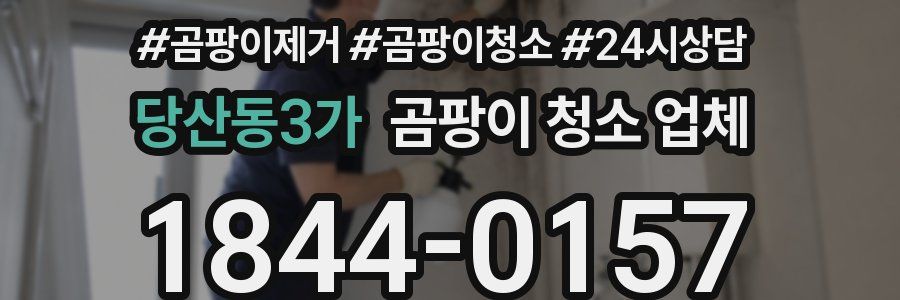 당산동3가 곰팡이 청소 업체