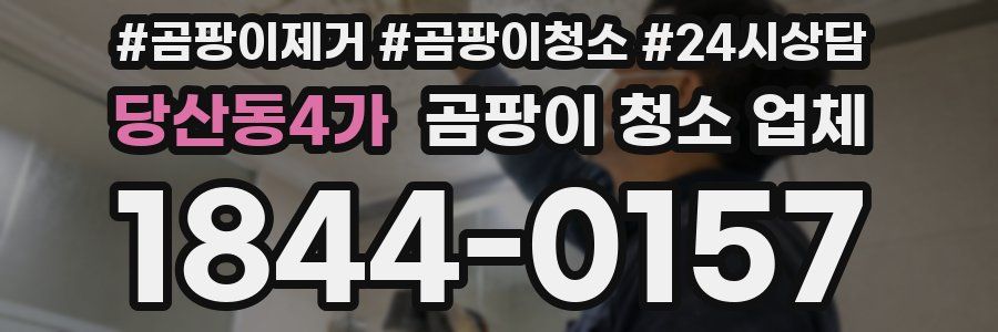 당산동4가 곰팡이 청소 업체