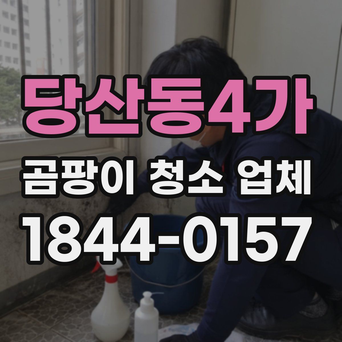 당산동4가 곰팡이 청소 업체