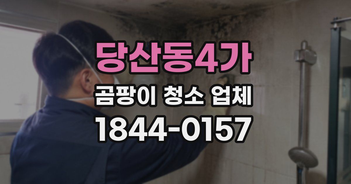당산동4가 곰팡이 청소 업체