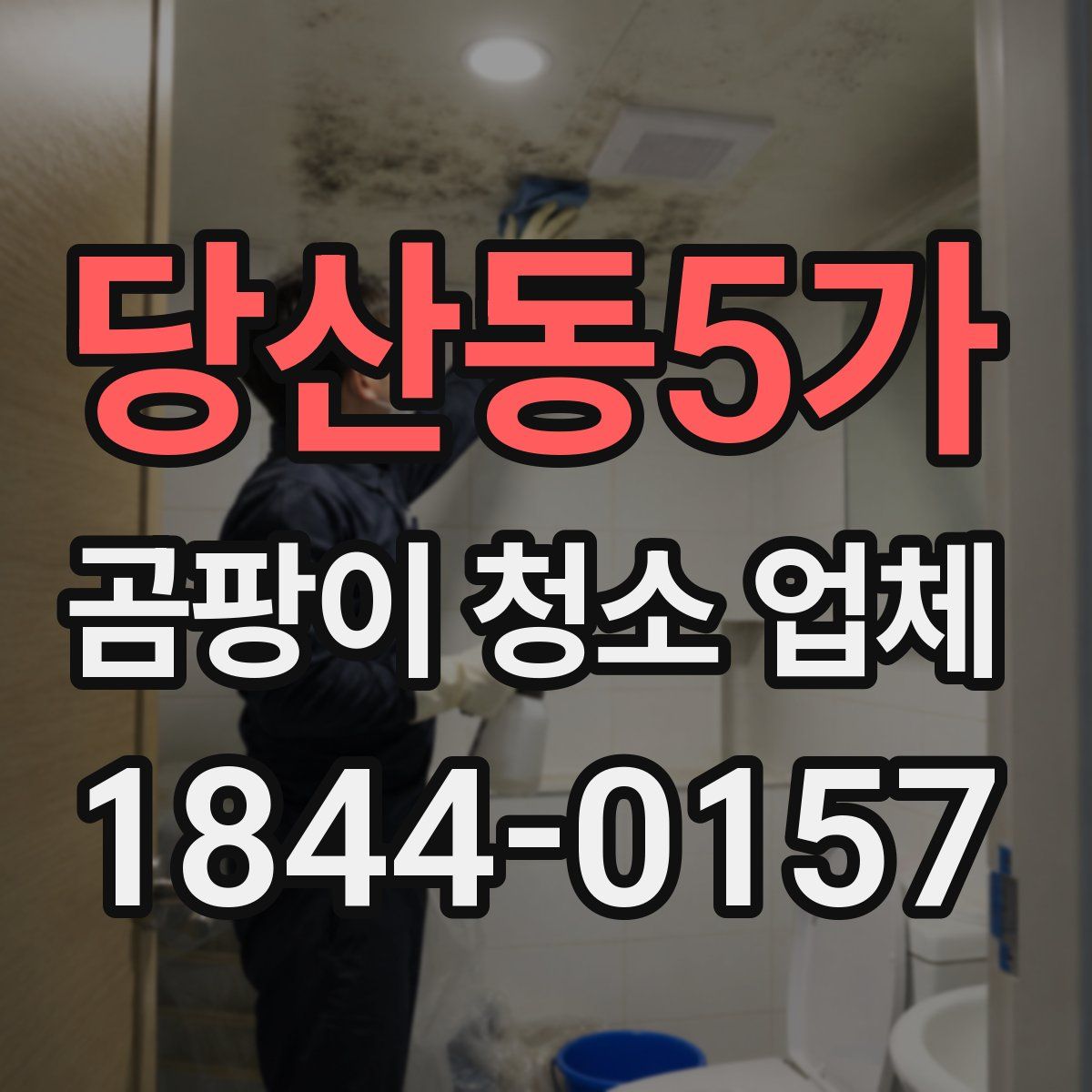당산동5가 곰팡이 청소 업체
