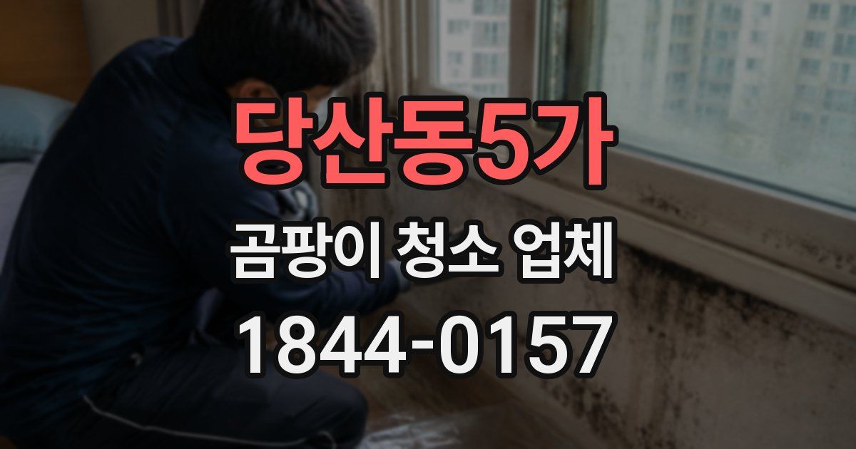 당산동5가 곰팡이 청소 업체