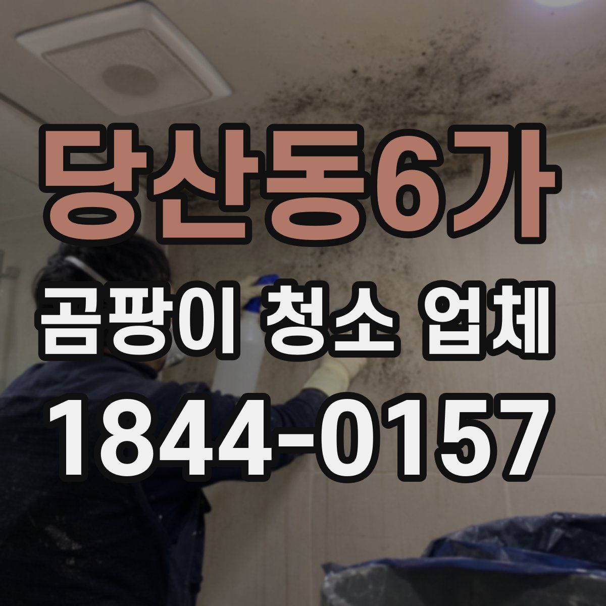 당산동6가 곰팡이 청소 업체