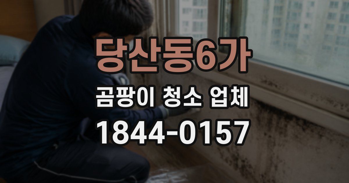 당산동6가 곰팡이 청소 업체