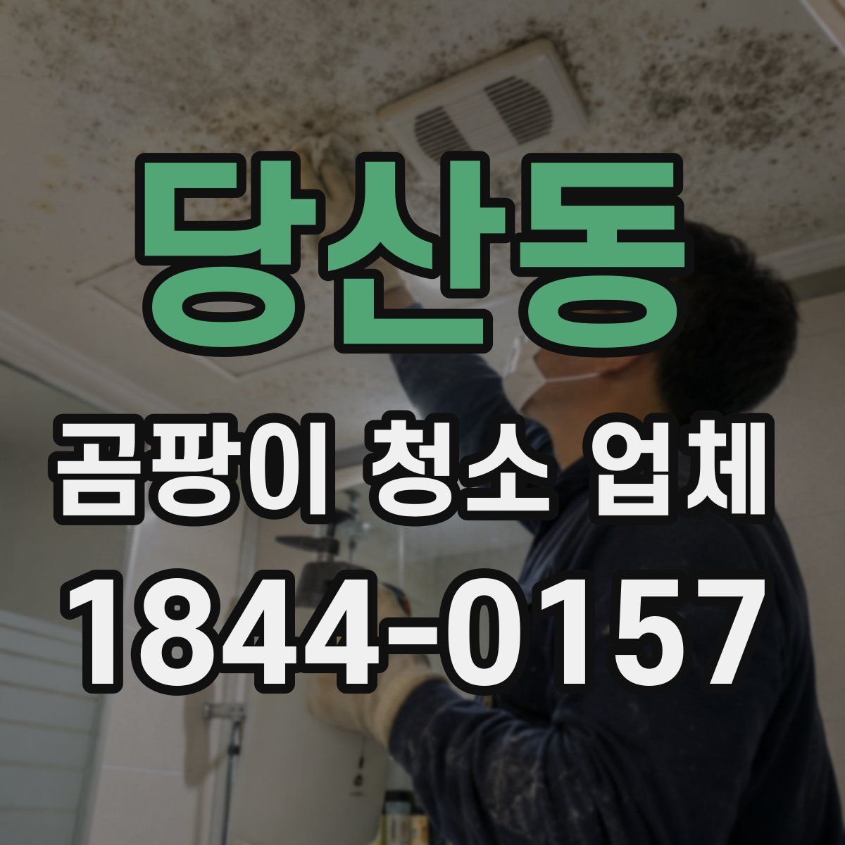 당산동 곰팡이 청소 업체