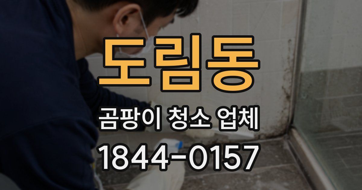 도림동 곰팡이 청소 업체