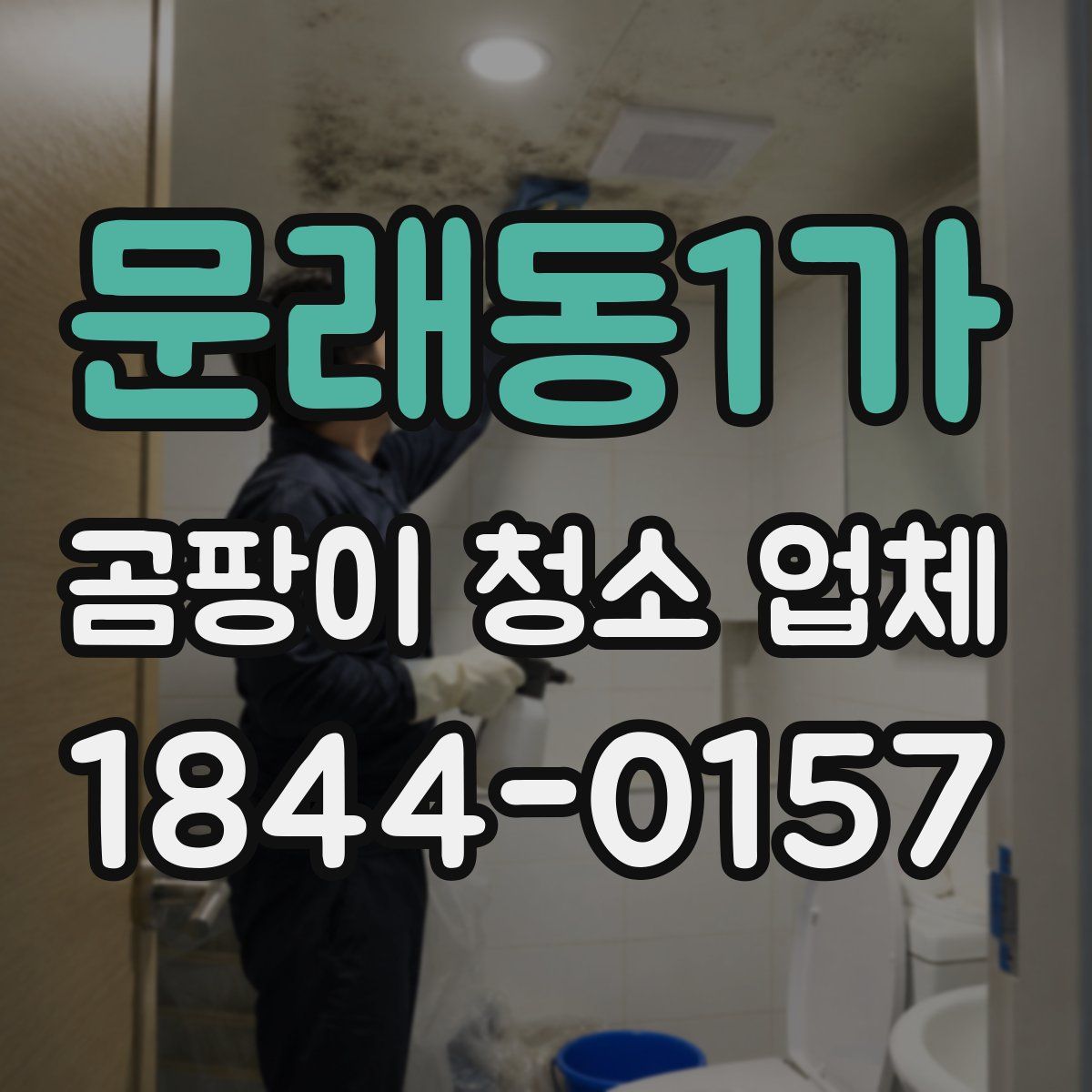 문래동1가 곰팡이 청소 업체