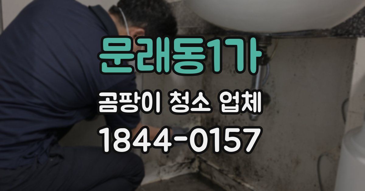 문래동1가 곰팡이 청소 업체