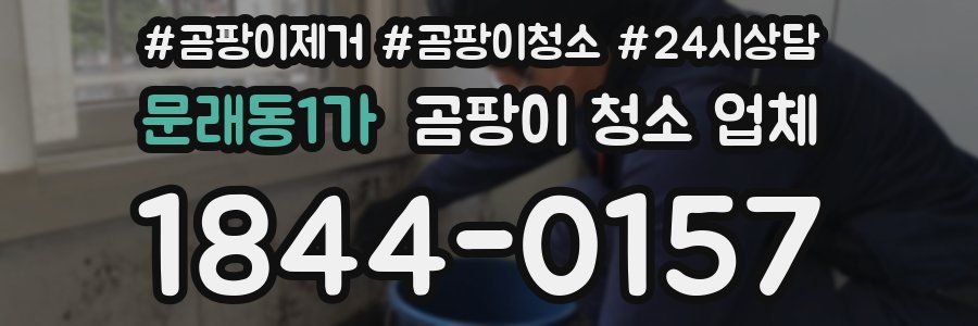 문래동1가 곰팡이 청소 업체