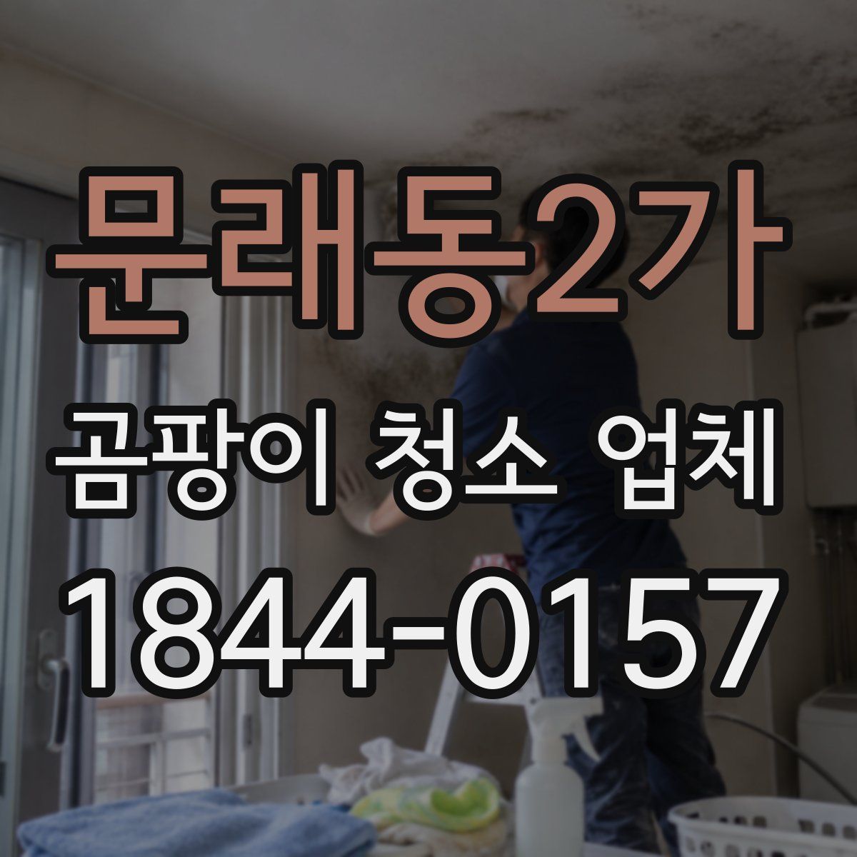 문래동2가 곰팡이 청소 업체