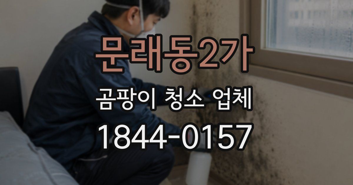 문래동2가 곰팡이 청소 업체