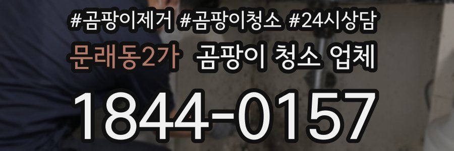 문래동2가 곰팡이 청소 업체