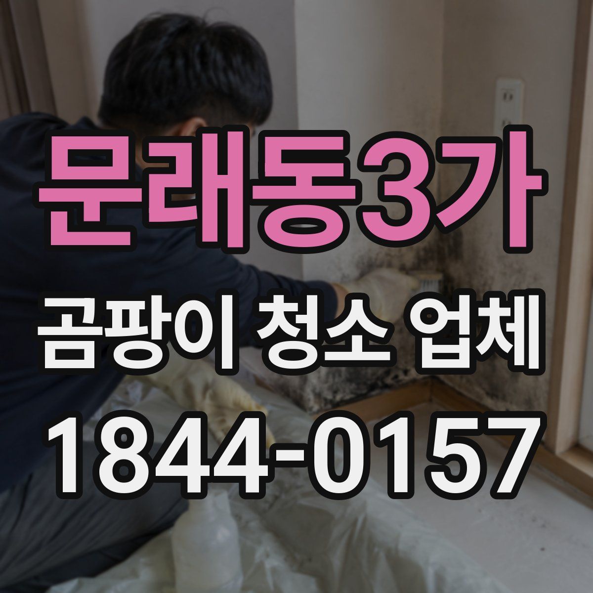 문래동3가 곰팡이 청소 업체